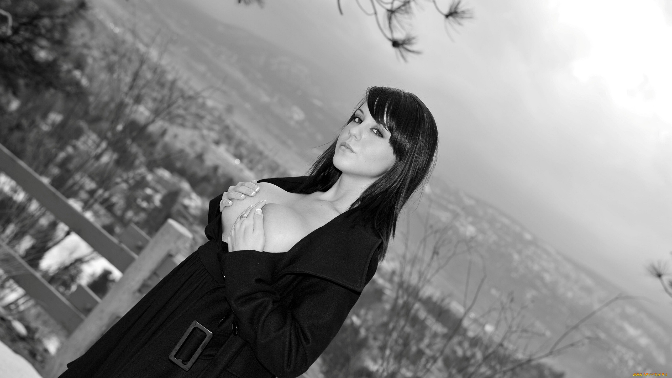 , bryci lea, bryci, lea